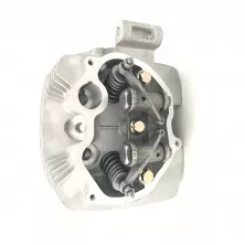 Головка цилиндра в сборе 162FMJ 150cc