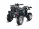 Квадроцикл Terminator LMATV-150HM  150сс (