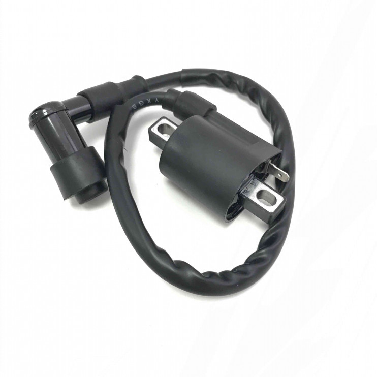 Кaтушкa зaжигaния скутер Yamaha BWS 100