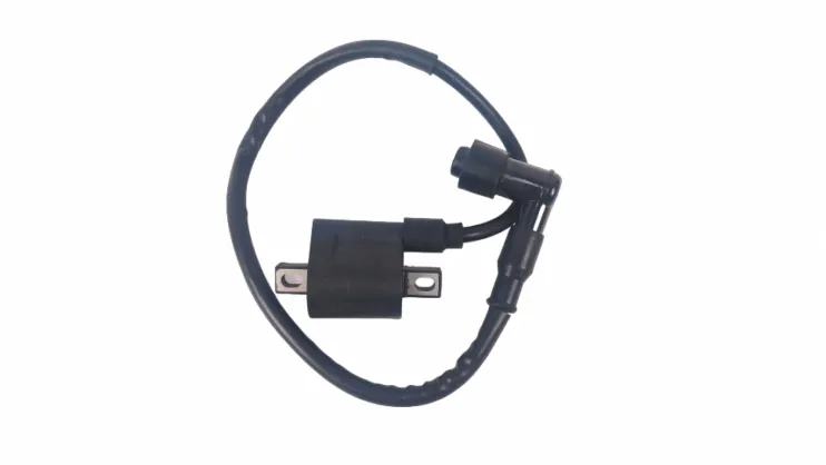 Катушка зажигания в сборе трицикл WM250ZH-2