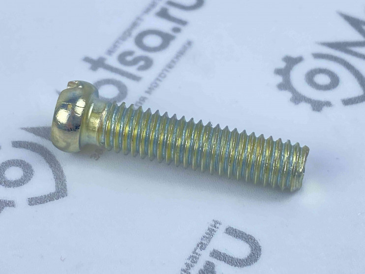 Винт М6х25 крышки картера короткий