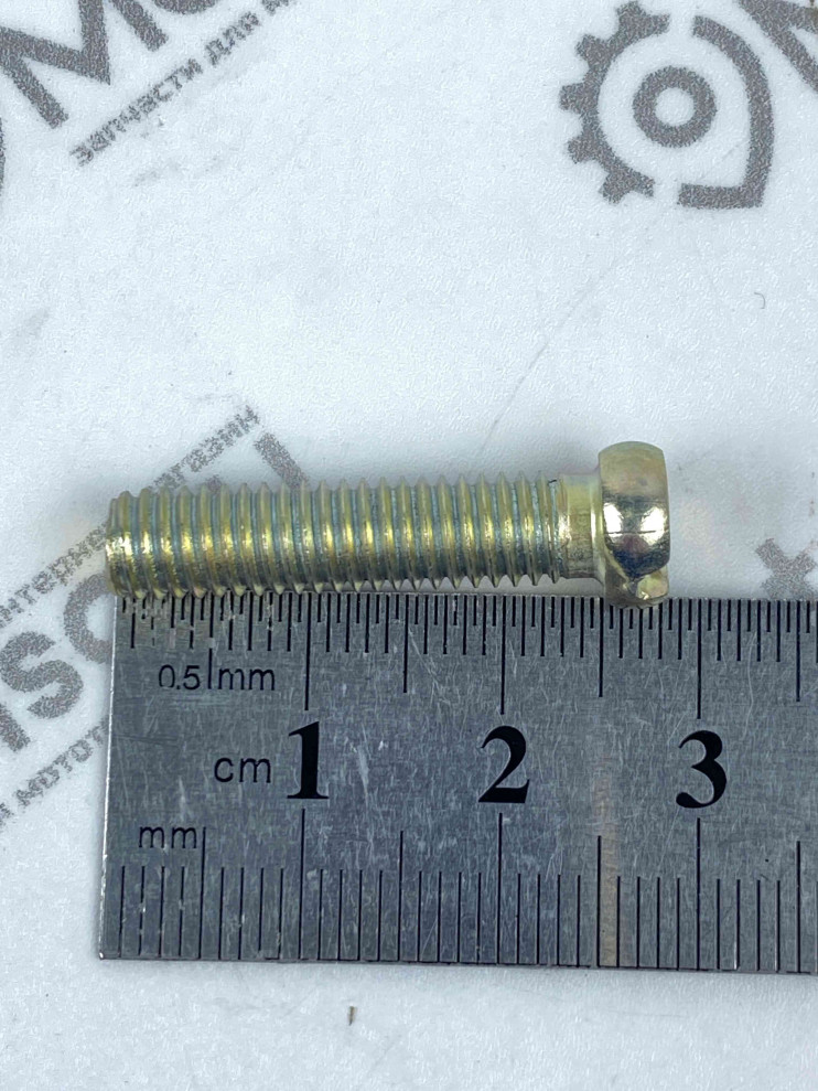 Винт М6х25 крышки картера короткий