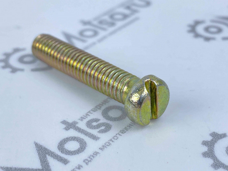 Винт М6х30 крышки картера короткий