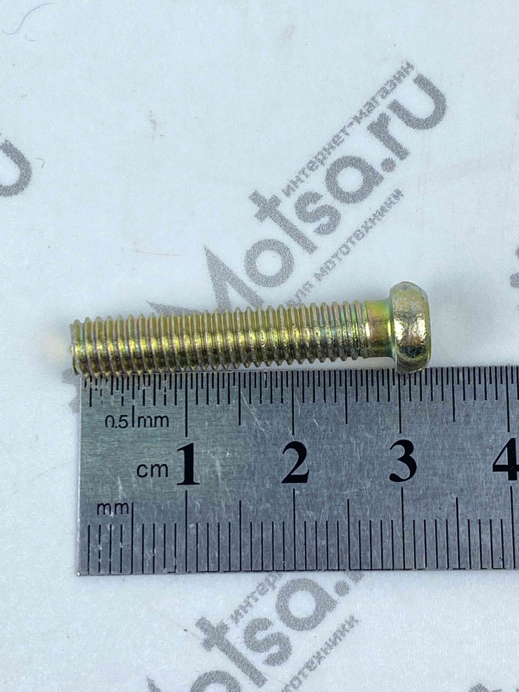 Винт М6х30 крышки картера короткий