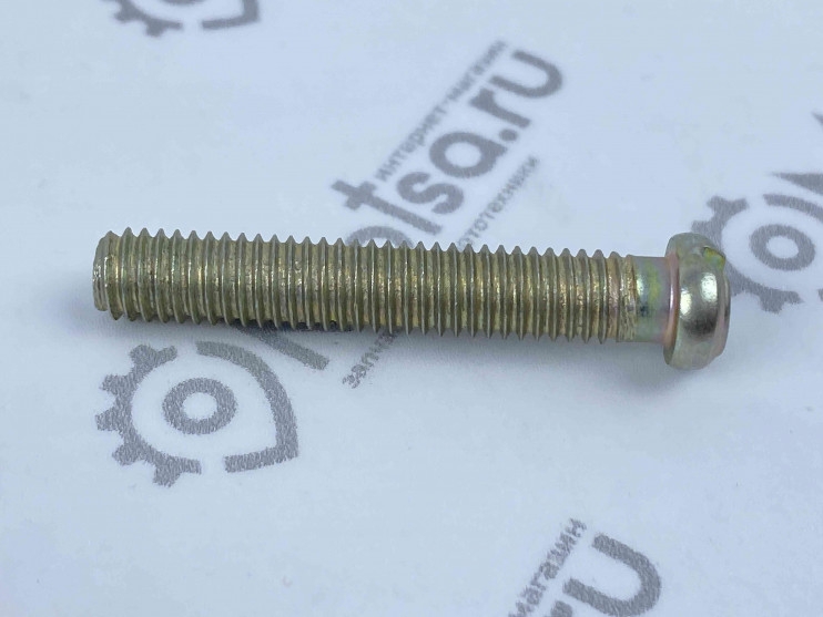 Винт М6х35 крышки картера короткий