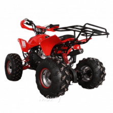 Квадроцикл Termit Luxe 110сс (Красный)