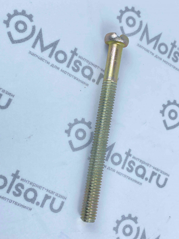 Винт М6х65 крышки картера длинный