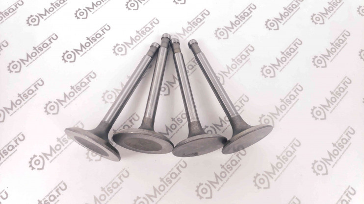 Клапана Днепр комплект