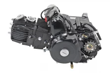 Двигатель 1P52FMI 125см3 4МКПП по кругу Альфа черный