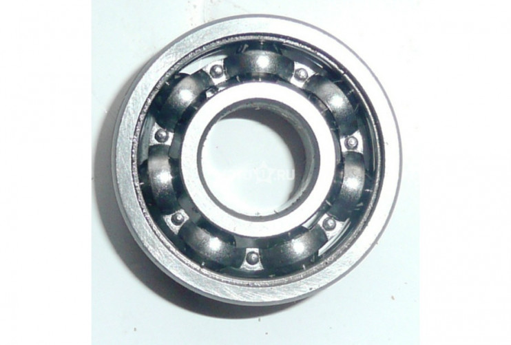 Подшипник 100 6000