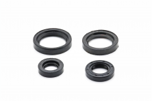 Набор сальников Днепр