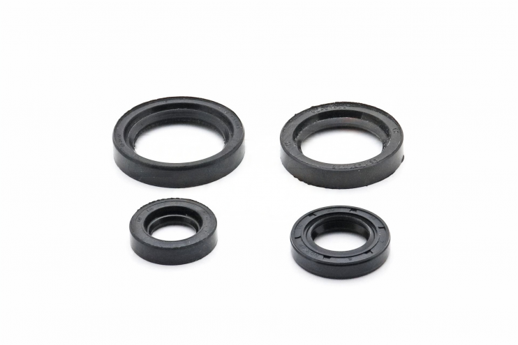 Набор сальников Днепр