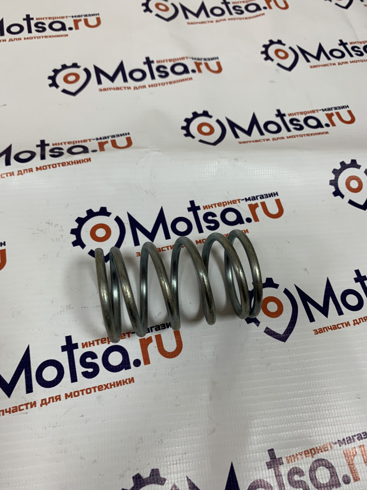 Пружина вариатора Буран Альпина  110600315