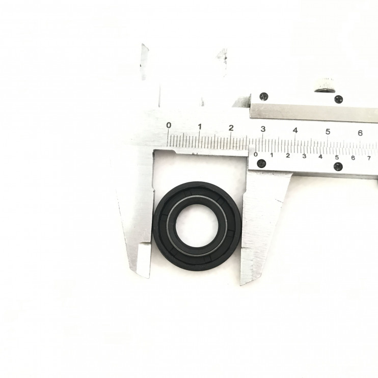 Сальник Champion 55 правый 15х28х5 сторона сцепления 1755169