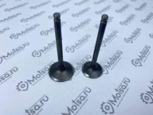 Клапаны ГРМ 156FMJ 23-66 27-66