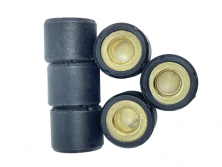 Ролики вариатора 16х13 10 гр. 139QMB