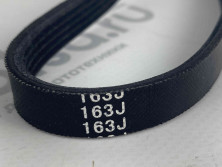 Ремень CHAMPION BC4401 (807018)