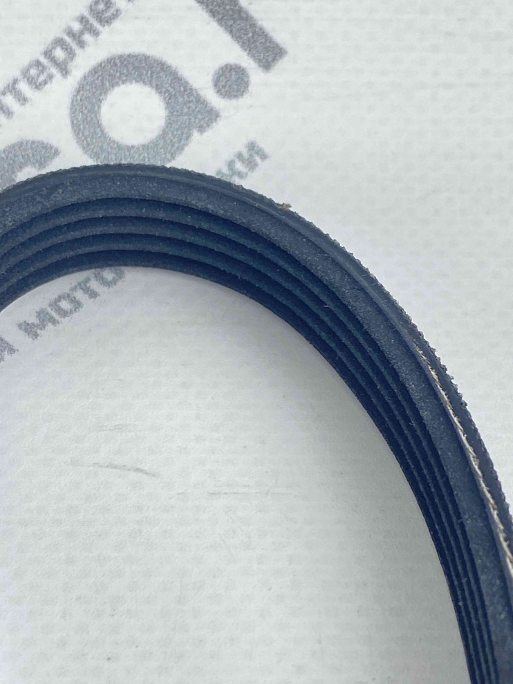 Ремень CHAMPION BC4401 (807018)