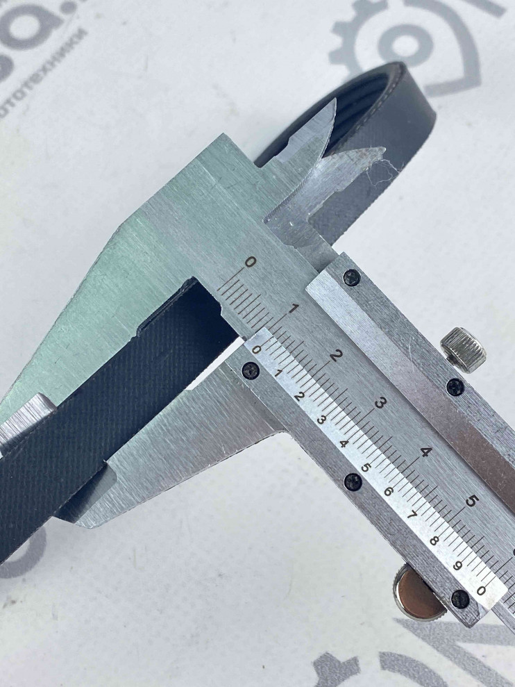 Ремень CHAMPION BC4401 (807018)