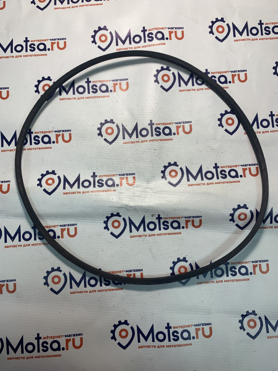 Ремень CHAMPION BC6712,6612H,7712,7612H,5512,5712 заднего хода (М37) (807015)