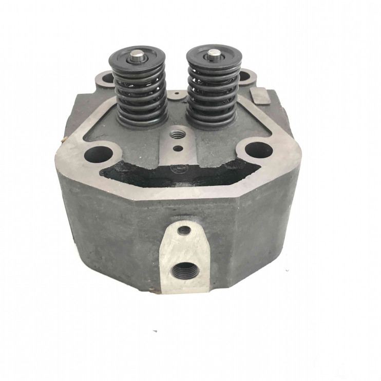 Головка блока цилиндра в сборе с клапанами двигателя R190