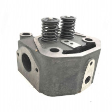 Головка блока цилиндра в сборе с клапанами двигателя R190