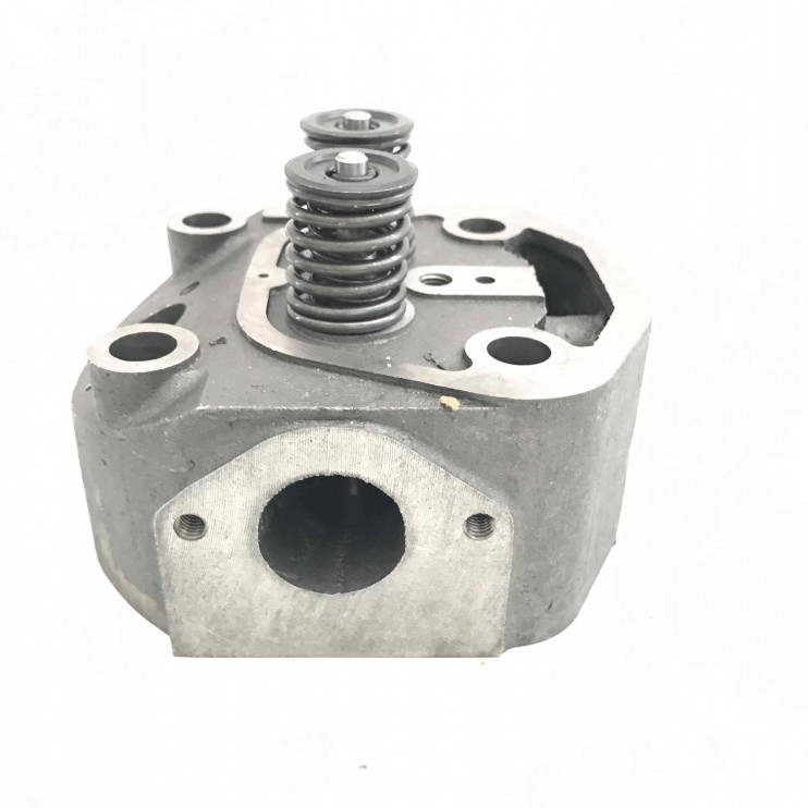 Головка блока цилиндра в сборе с клапанами двигателя R190