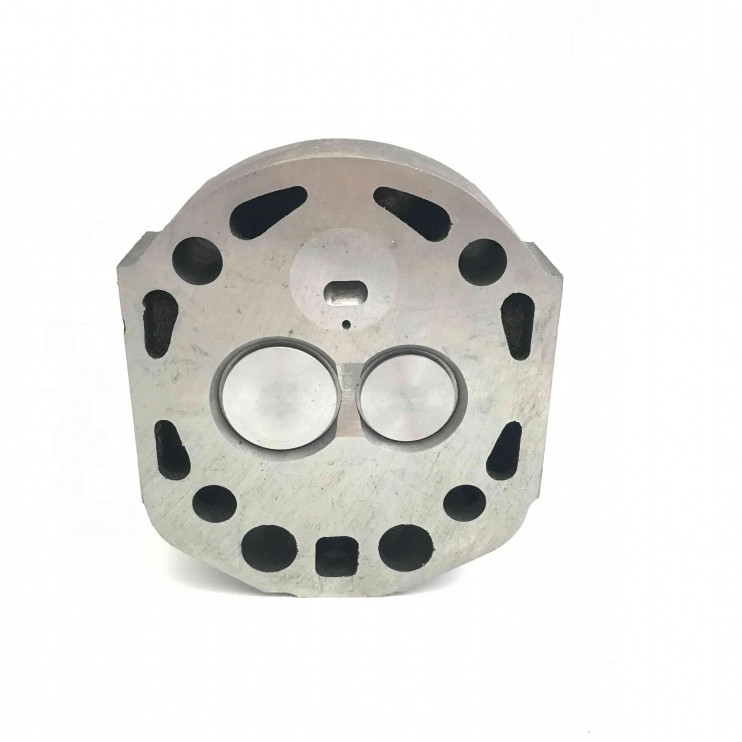 Головка блока цилиндра в сборе с клапанами двигателя R190