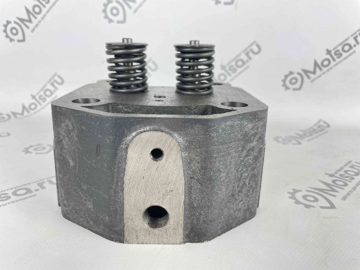 Головка блока цилиндра в сборе с клапанами двигателя R195