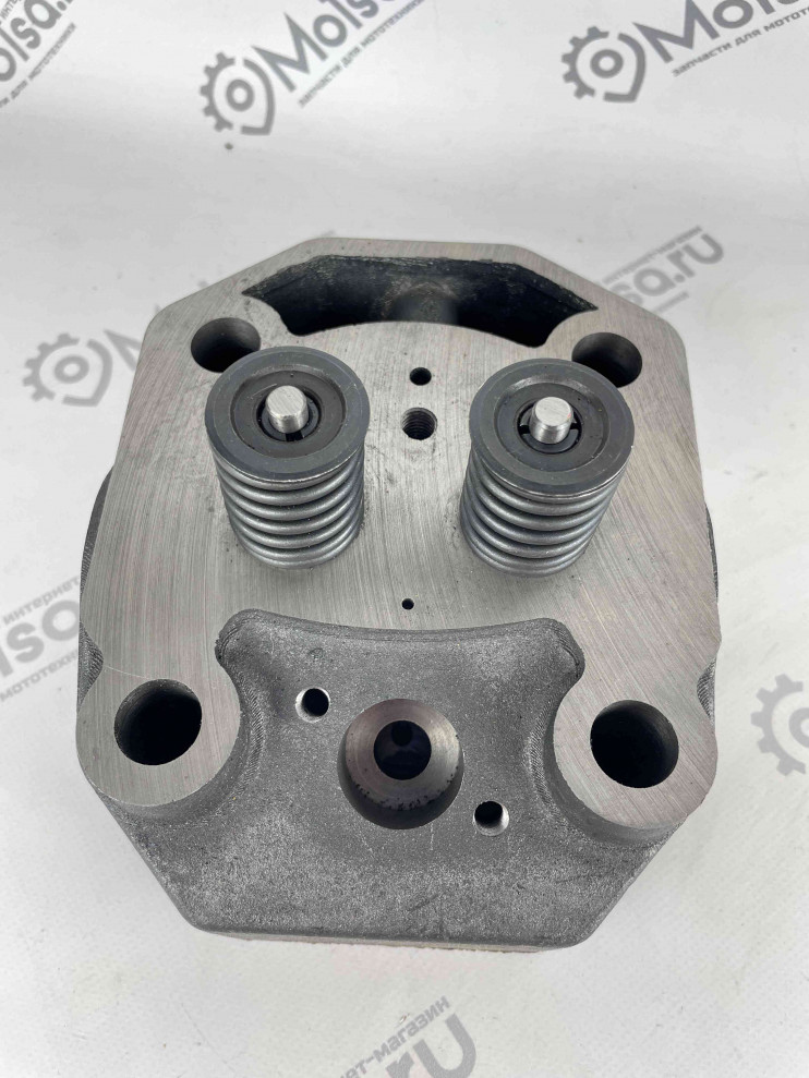 Головка блока цилиндра в сборе с клапанами двигателя R195