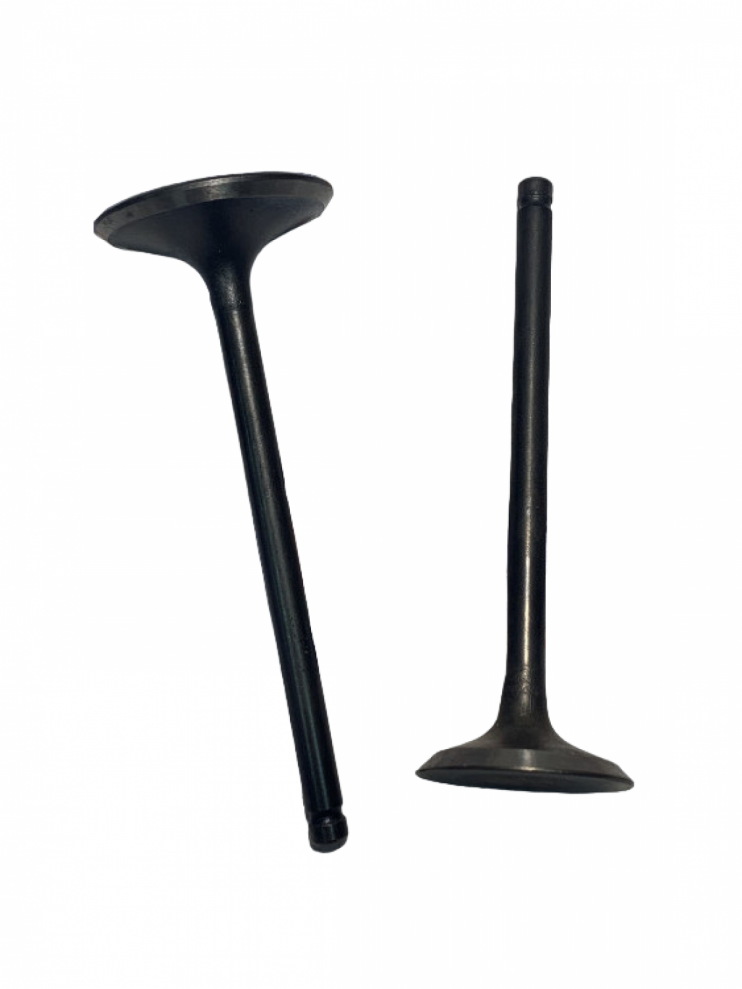 Клапаны ГРМ 167FMM 250cc