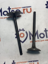 Клапаны ГРМ 167FMM 250cc
