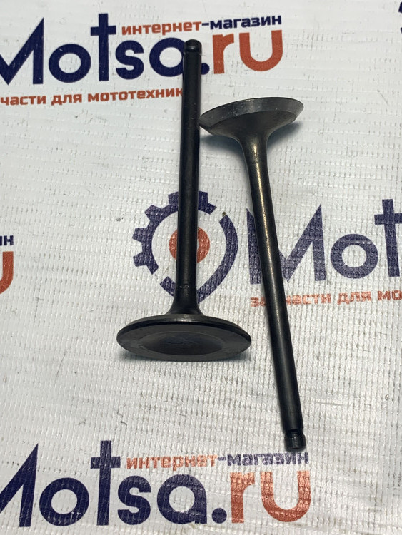 Клапаны ГРМ 167FMM 250cc