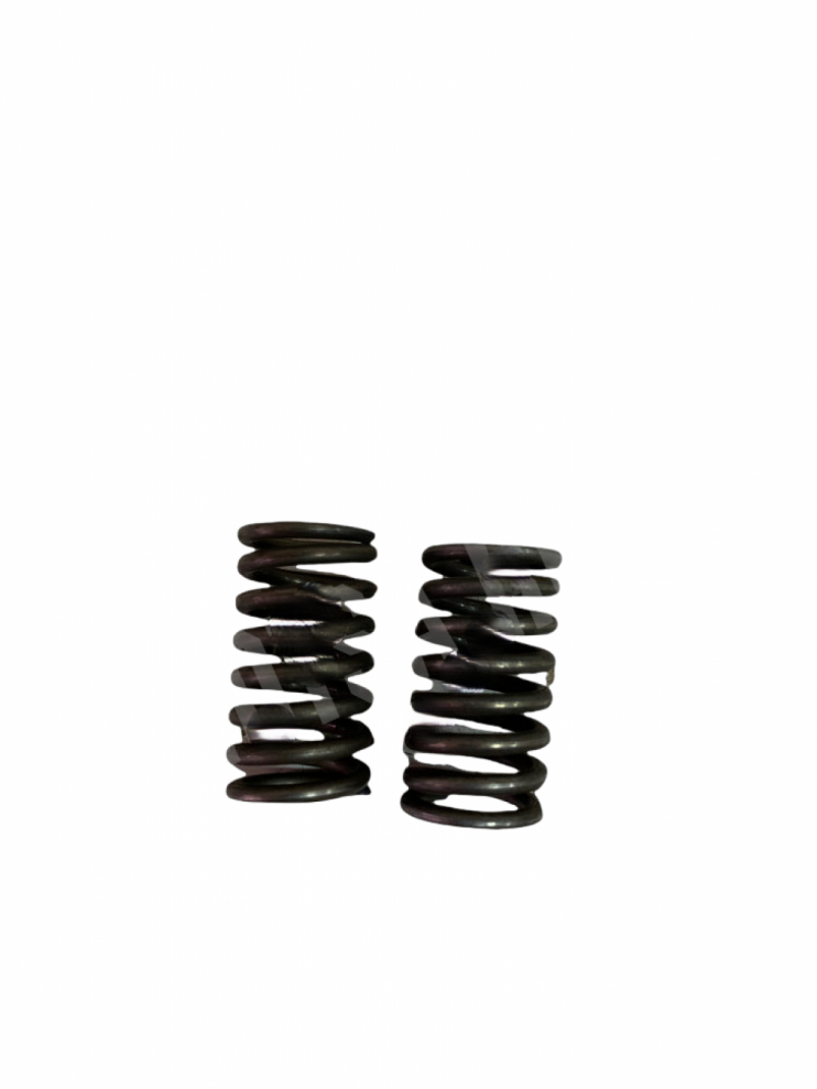 Пружины клапанов 157FMI