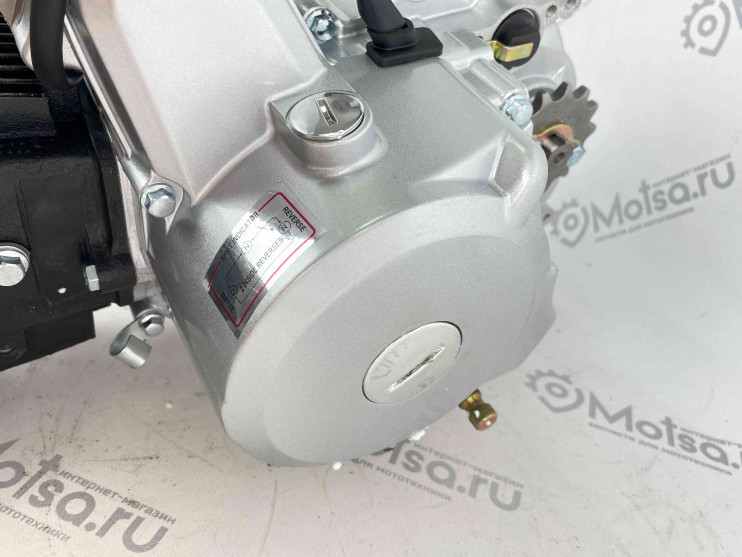 Двигатель 1P52FMH 107см3 автомат+электрост. DINGO T110 (1вперед+1назад)