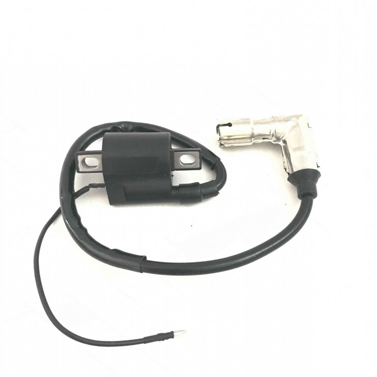 Катушка зажигания 166FMM CB250  мотоцикл Irbis TTR 250Rb