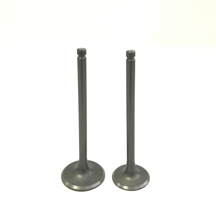 Клапаны 165FMM 166FMM d27/31.5 L90/91