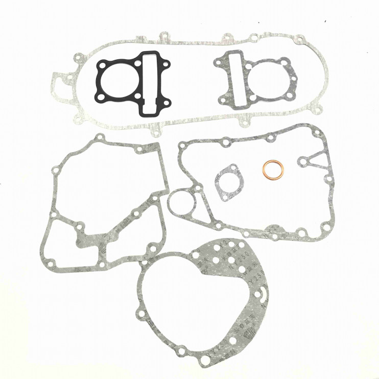 Набор прокладок двигателя 158QMJ D57