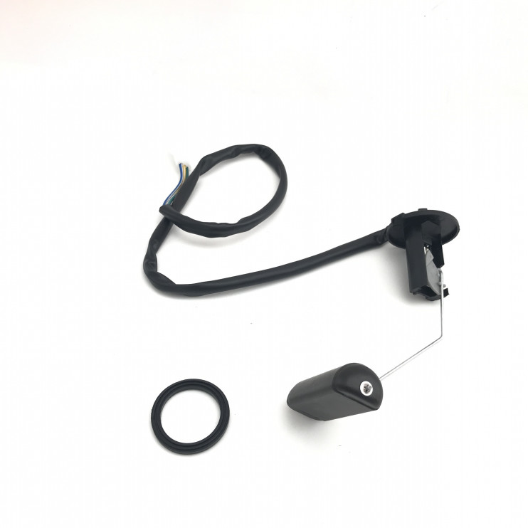 Датчик уровня топлива Scorpion  F2-Rapiras  F3