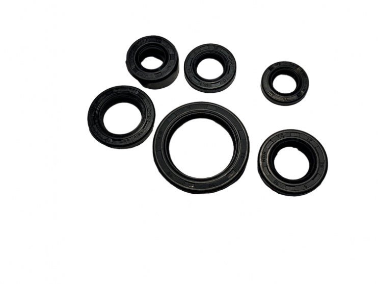 Набор сальников  мопед Альфа, Дельта, Зодиак 6 штук