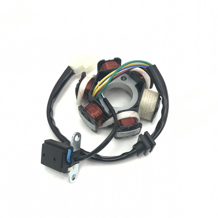 Зажигание питбайк TTR 125 без маховика 6 катушек