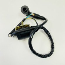 Катушка зажигания Альфа с высоковольтным колпачком