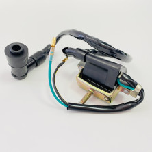 Катушка зажигания Альфа с высоковольтным колпачком