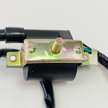 Катушка зажигания Альфа с высоковольтным колпачком