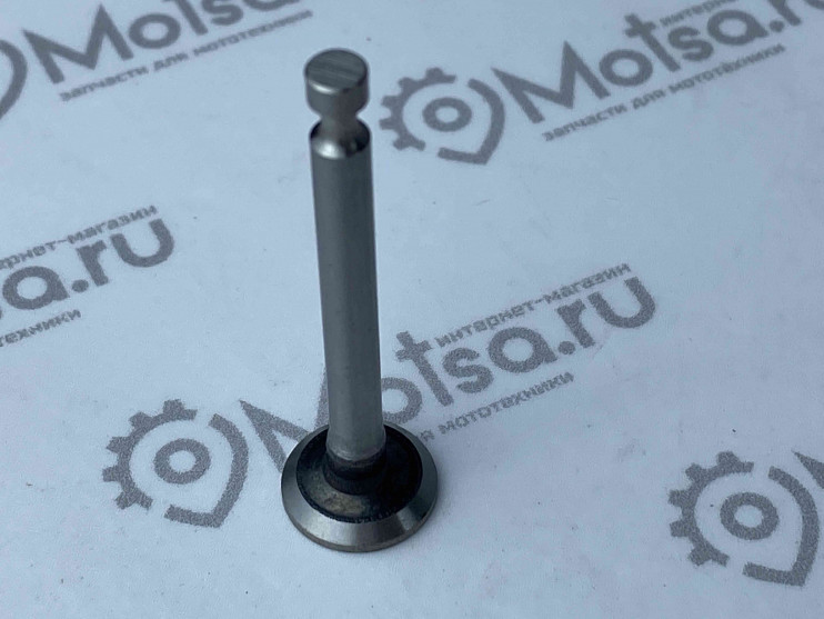 Клапан выпускной мотокосы 4-х тактн. GBC-31F