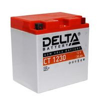Аккумулятор Буран 12В30Ач DELTA CT1230 (YB30L-B) (кислотн, герметичный) (обратн полярн) (166*126*175мм) (Brp-Sci-Doo Elite, Polaris600,750,900)
