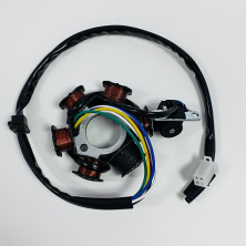 Зажигание в сборе с маховиком 152QMI, 157QMJ 6 катушек (генератор)