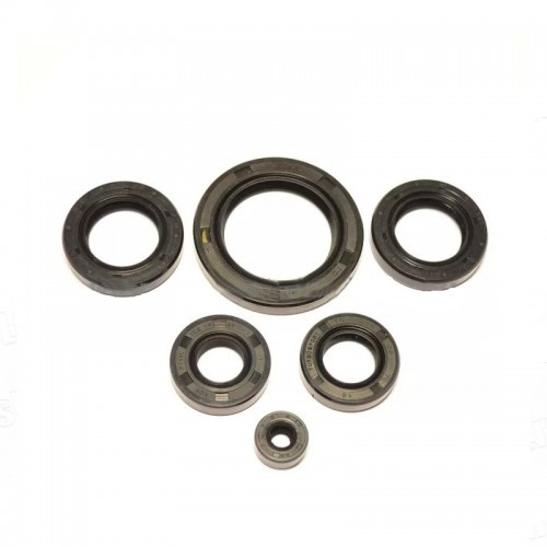 Набор сальников 167FMM 250cc