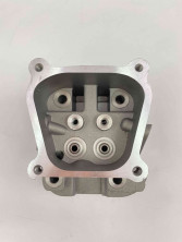 Головка цилиндра 156F 0113212-0007