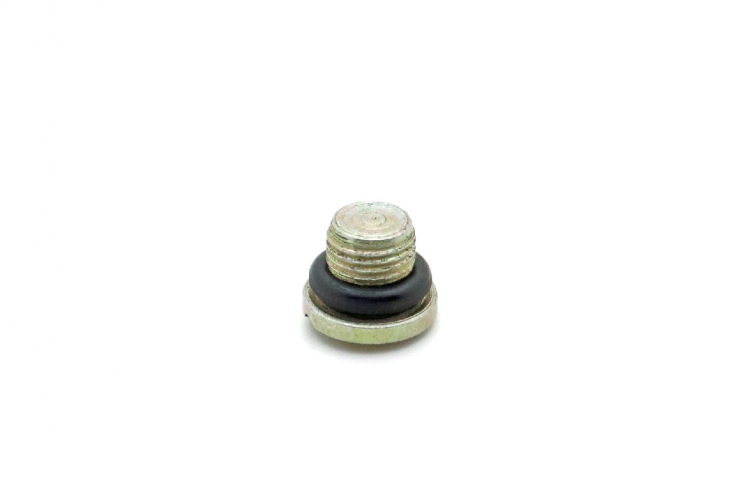 Пробка Вихрь редуктора с уплотнительным кольцом 2.202-029